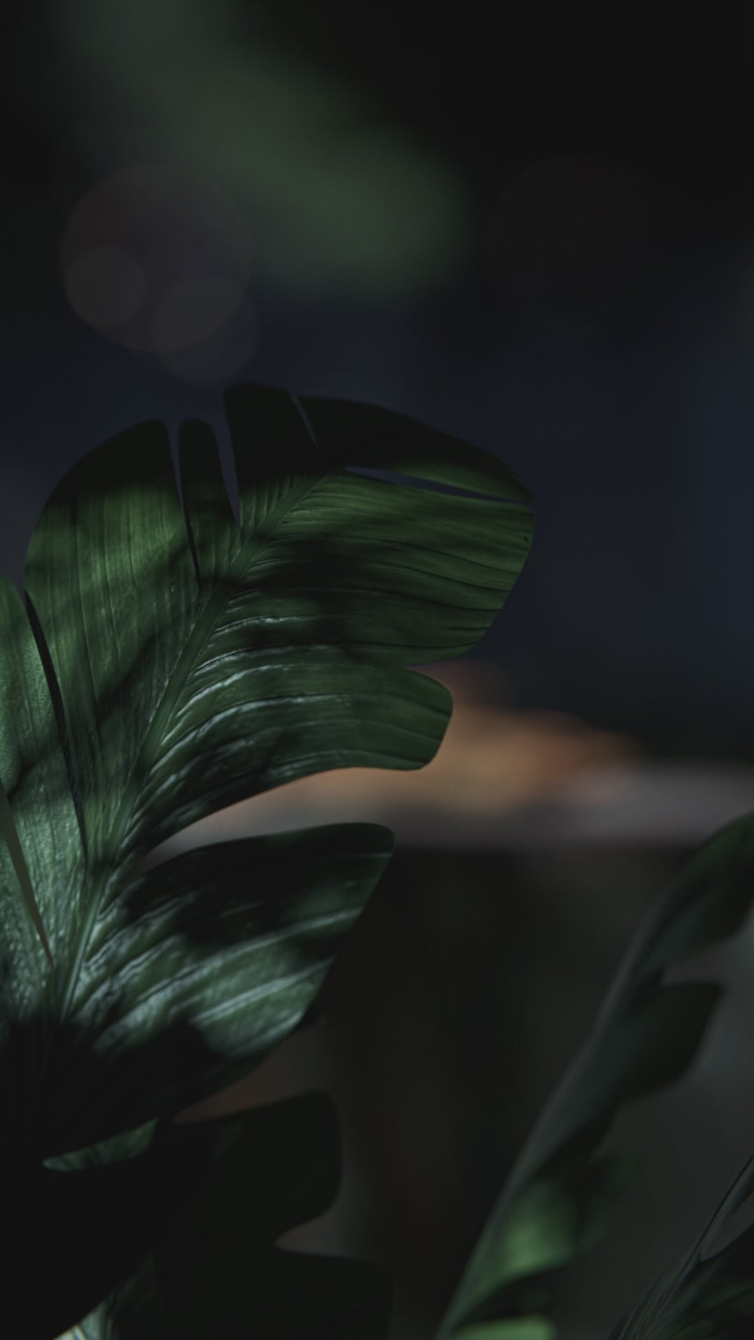 Taїga Oud – Impact